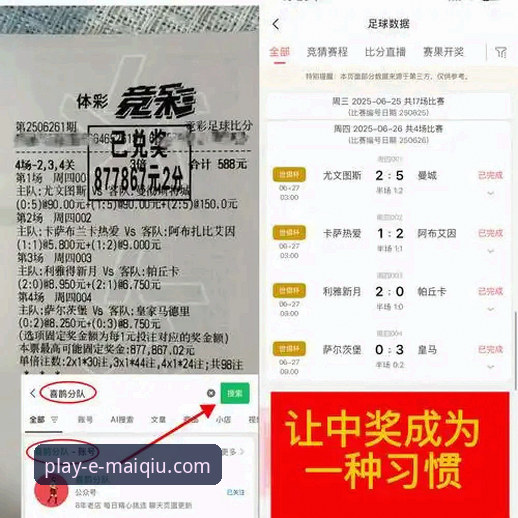 资深玩家经验谈：买球安卓版实战心得与行业趋势解析